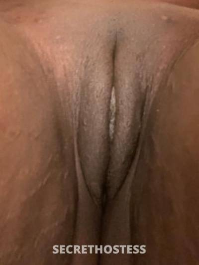 23Yrs Old Escort Tampa FL Image - 2