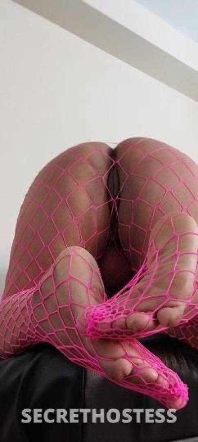 Alba 36Yrs Old Escort Louisville KY Image - 5