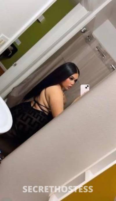 Ash 21Yrs Old Escort San Buenaventura CA Image - 0