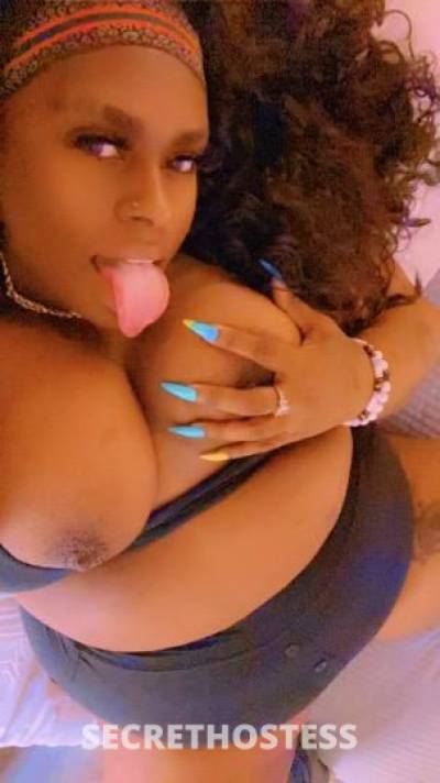 BellaBandz 37Yrs Old Escort Birmingham AL Image - 1