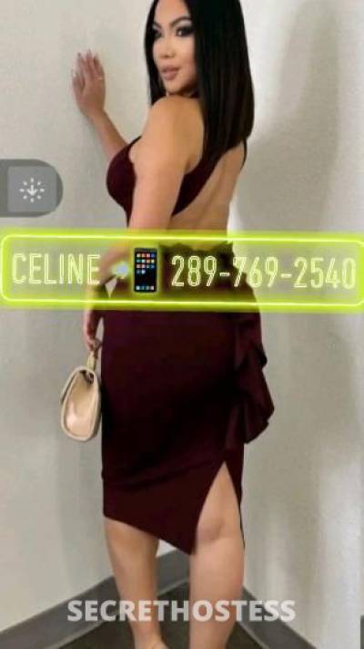 CELINE 29Yrs Old Escort Hamilton Image - 7