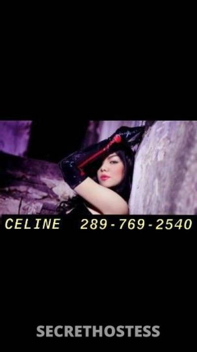 CELINE 29Yrs Old Escort Hamilton Image - 9