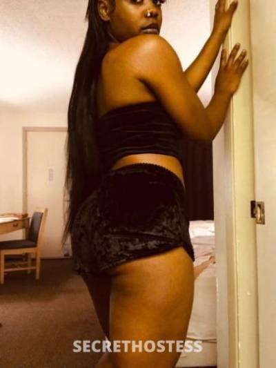 Chocolate 20Yrs Old Escort Oakland CA Image - 2