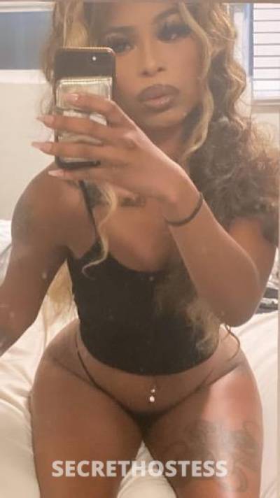 Cinn🧸💎 22Yrs Old Escort San Fernando Valley CA Image - 7