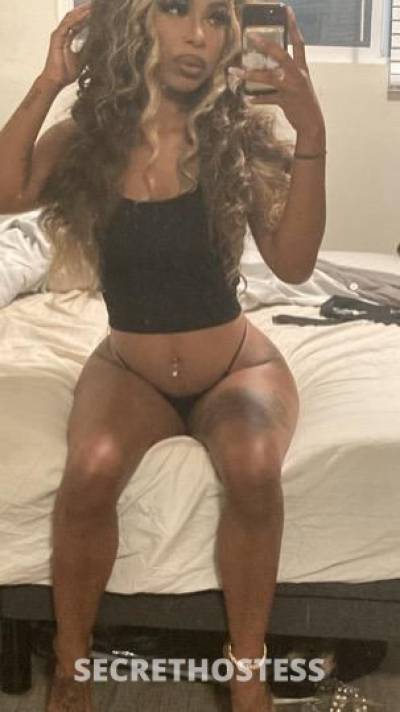 Cinn🧸💎 22Yrs Old Escort San Fernando Valley CA Image - 8