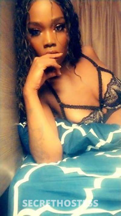 Diamond 23Yrs Old Escort Tampa FL Image - 1