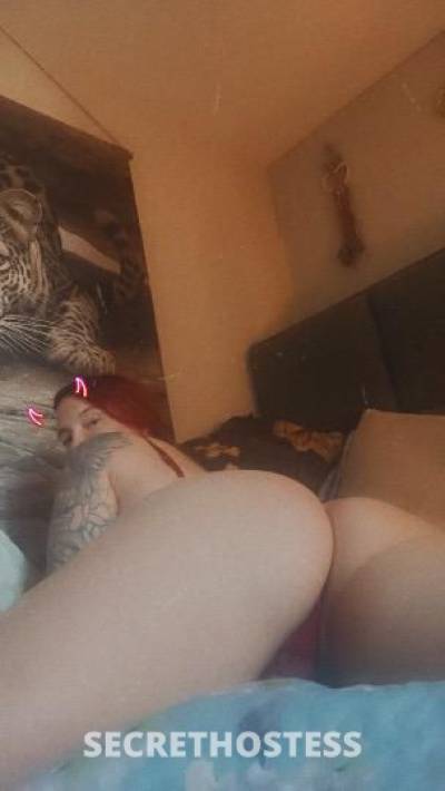 Hailey 27Yrs Old Escort Edmonton Image - 4