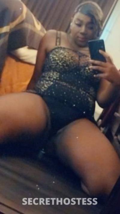 HoneyB 26Yrs Old Escort San Diego CA Image - 3