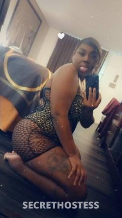 HoneyB 26Yrs Old Escort San Diego CA Image - 4