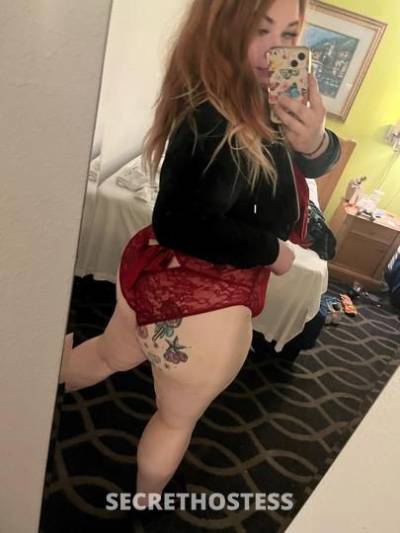 Kandy 22Yrs Old Escort 175CM Tall Tampa FL Image - 4