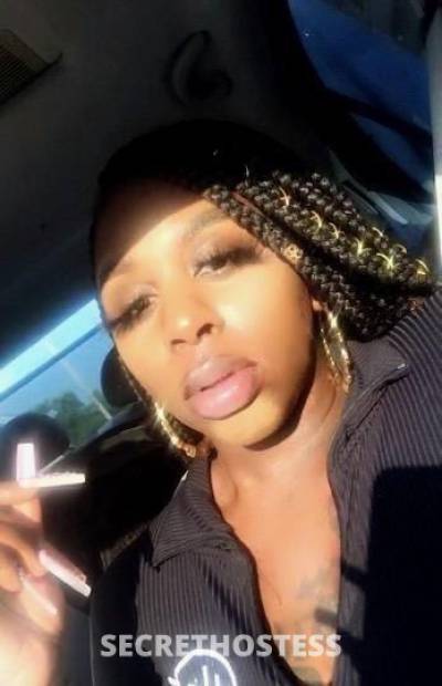 Koko 24Yrs Old Escort Detroit MI Image - 1