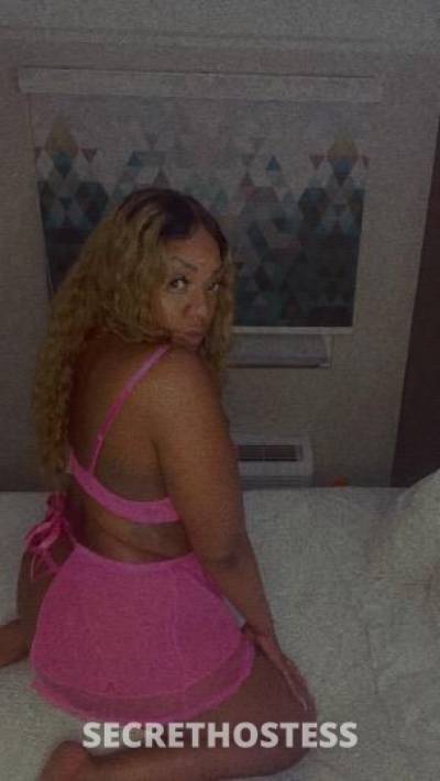 Kream 26Yrs Old Escort Western Slope CO Image - 0