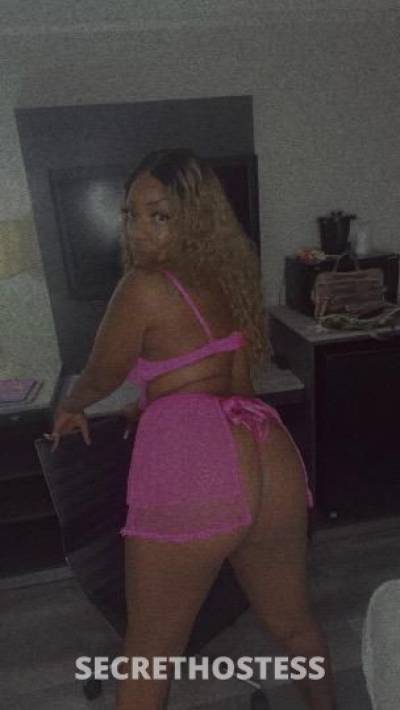 Kream 26Yrs Old Escort Western Slope CO Image - 3