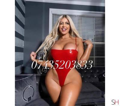 23 Year Old Brazilian Escort York - Image 9