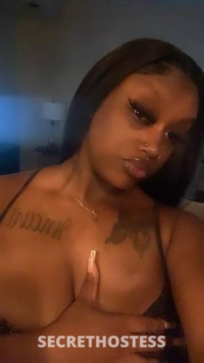 Lundyn 22Yrs Old Escort Little Rock AR Image - 0