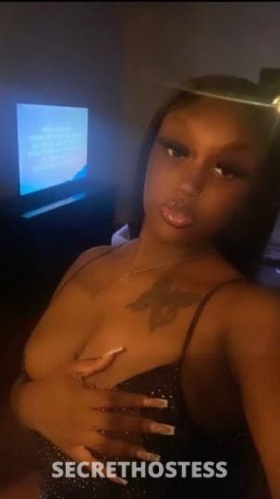 Lundyn 22Yrs Old Escort Little Rock AR Image - 1