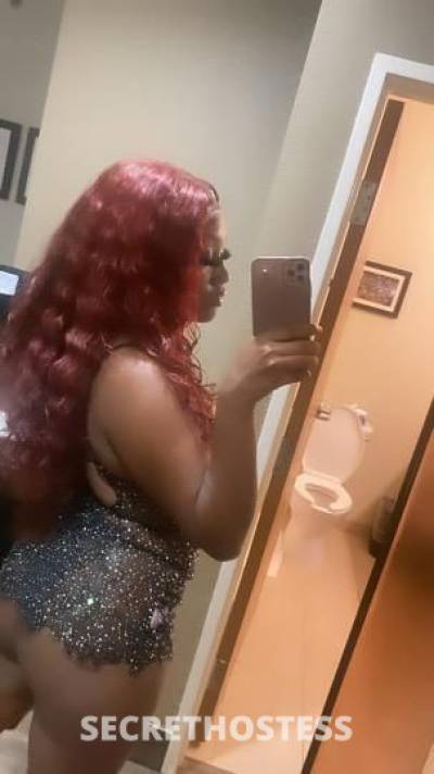 Lundyn 22Yrs Old Escort Little Rock AR Image - 3