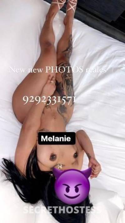 Melanie 24Yrs Old Escort Washington DC Image - 0