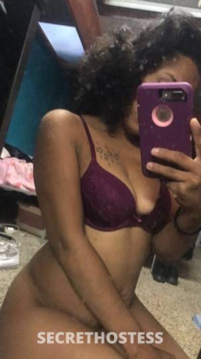 Nikki 24Yrs Old Escort Macon GA Image - 0