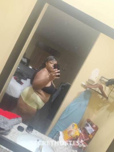 PHAT 29Yrs Old Escort New Orleans LA Image - 6