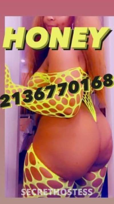 ROYALHoney 33Yrs Old Escort Los Angeles CA Image - 0