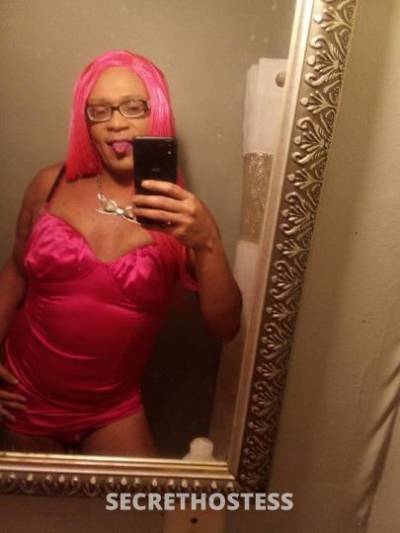 Yelladime 32Yrs Old Escort Phoenix AZ Image - 2