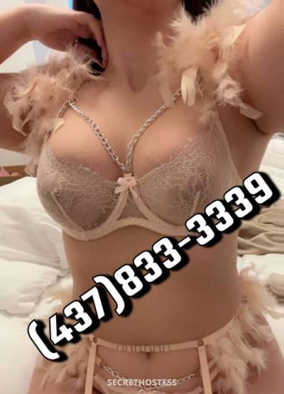 ꧁Tantalizing Tiffany꧂ 23Yrs Old Escort Kitchener Image - 7