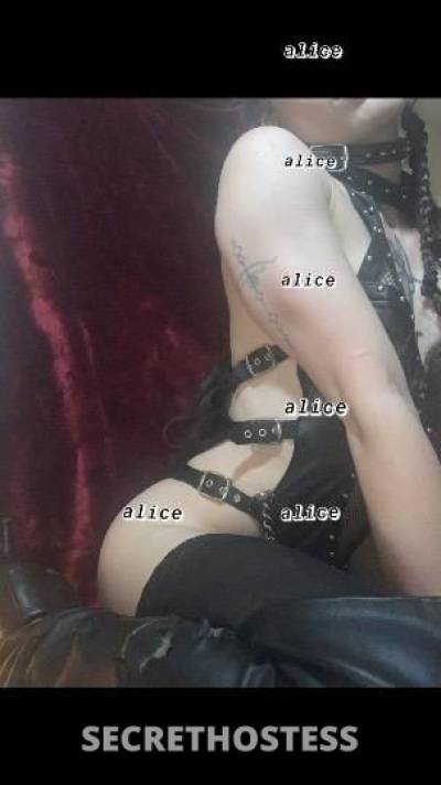 Alice 25Yrs Old Escort Chambana IL Image - 1