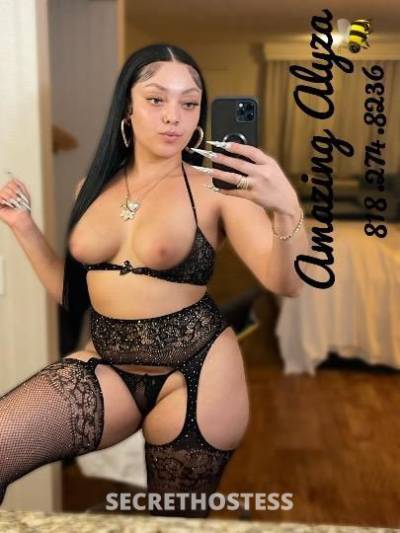 Alyza 25Yrs Old Escort Santa Barbara CA Image - 9