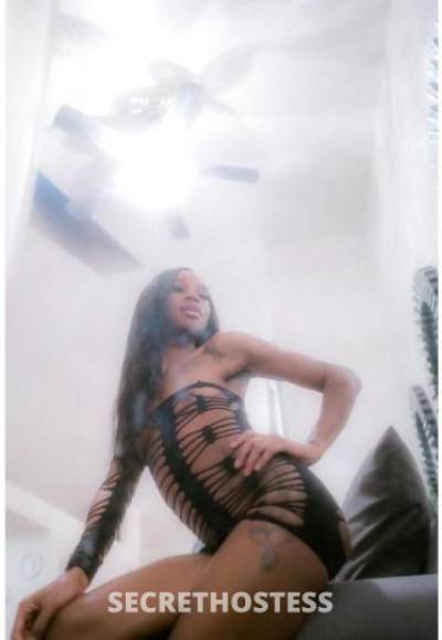 Ceecee 23Yrs Old Escort Toledo OH Image - 3