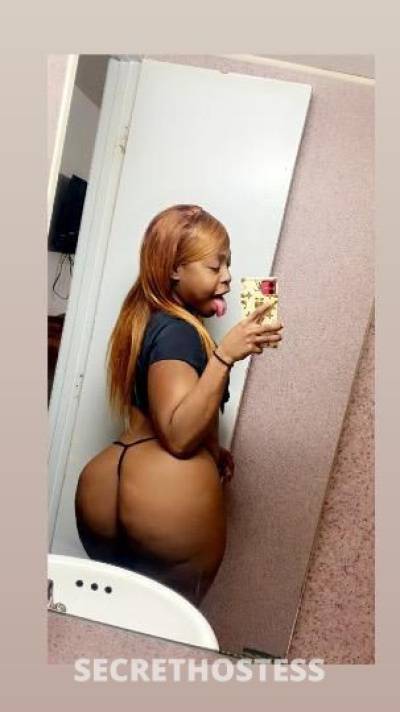 Chanel 23Yrs Old Escort Bronx NY Image - 1