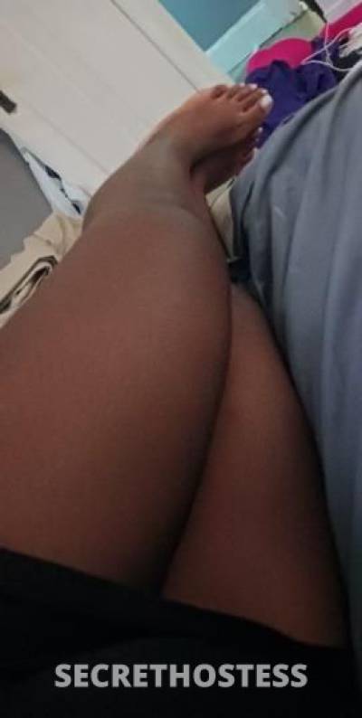 Drea 22Yrs Old Escort Cincinnati OH Image - 1