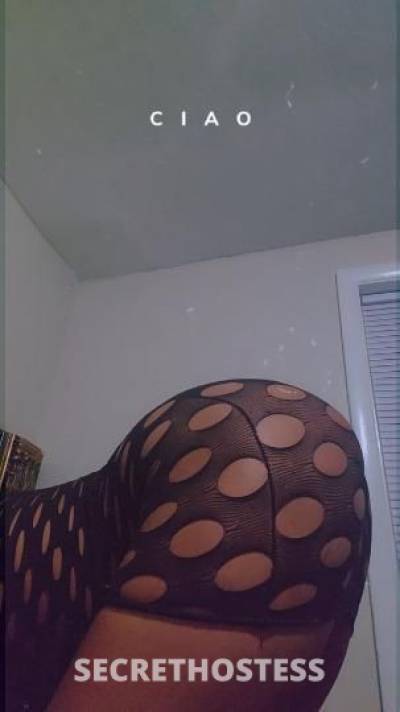 EnVy 27Yrs Old Escort 167CM Tall Newport News VA Image - 4