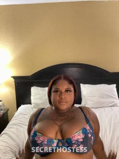 GiGi 24Yrs Old Escort 160CM Tall Orlando FL Image - 2