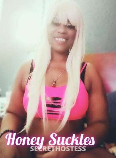 HoneySuckles 33Yrs Old Escort Miami FL Image - 3