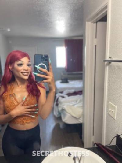 Jojo 27Yrs Old Escort San Diego CA Image - 1