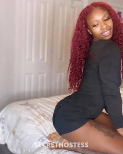 Kash 24Yrs Old Escort Rochester NY Image - 0