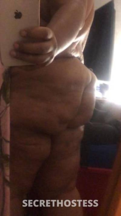 Kitty 29Yrs Old Escort Corpus Christi TX Image - 0