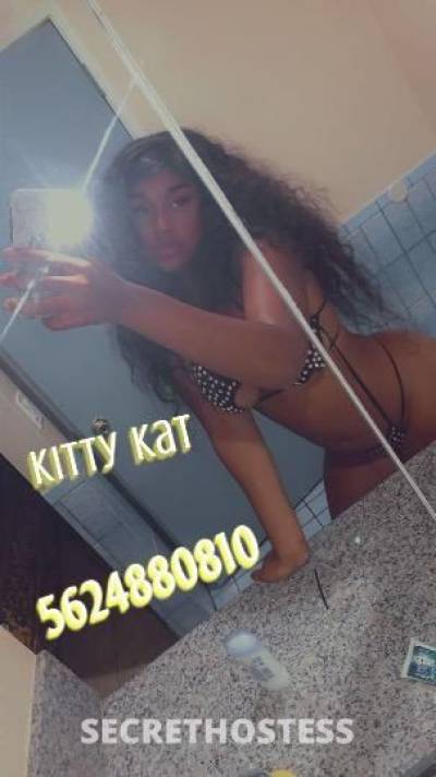 Kittykat 24Yrs Old Escort Chico CA Image - 1