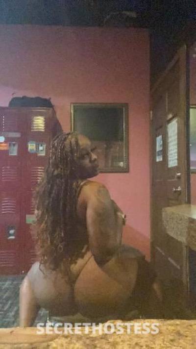 Majesty 22Yrs Old Escort Orlando FL Image - 1