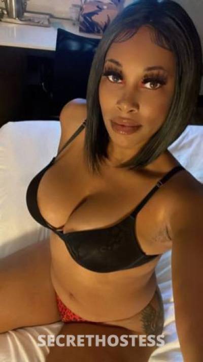 Maya 24Yrs Old Escort Oakland CA Image - 0