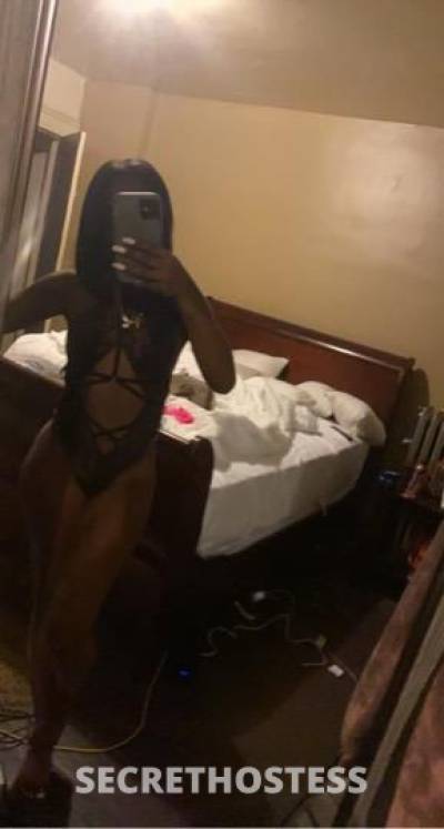 Melissa 24Yrs Old Escort Cleveland OH Image - 2