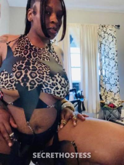 Mocha’s🪄 26Yrs Old Escort 162CM Tall Rochester NY Image - 0