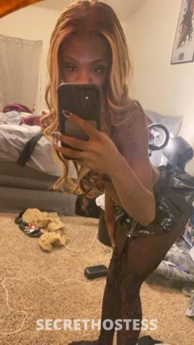 Nelly 23Yrs Old Escort Denton TX Image - 0