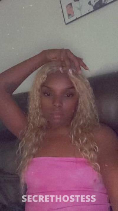 Slimm 25Yrs Old Escort Bronx NY Image - 1