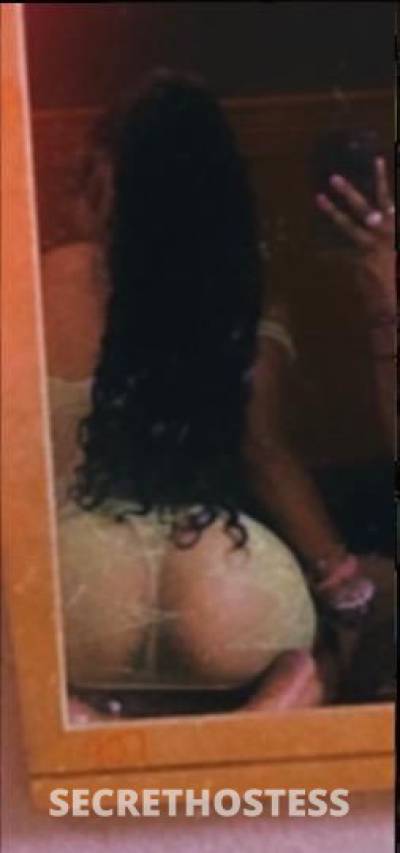 Stormi 20Yrs Old Escort Sacramento CA Image - 1