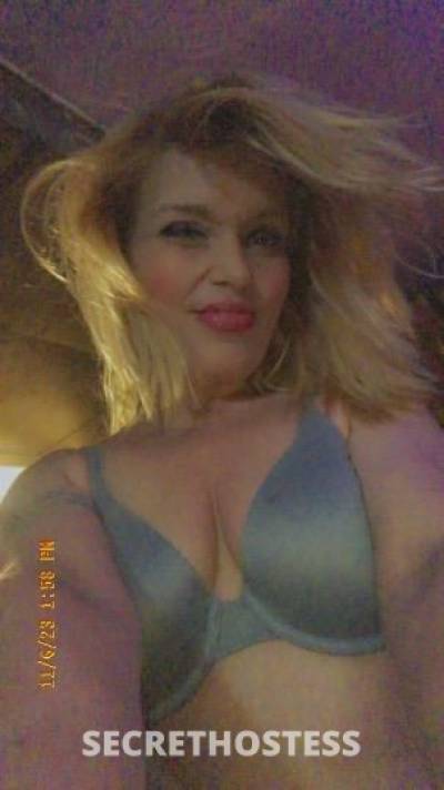 TaylorRae 38Yrs Old Escort Cincinnati OH Image - 3