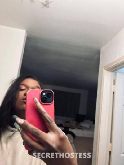☎️CallMeBusy😘 24Yrs Old Escort College Station TX Image - 1