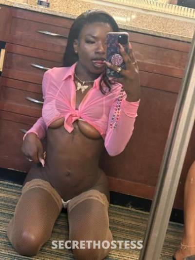 22Yrs Old Escort San Francisco CA Image - 1