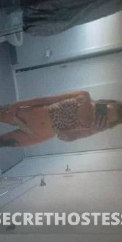 28Yrs Old Escort Launceston Image - 5